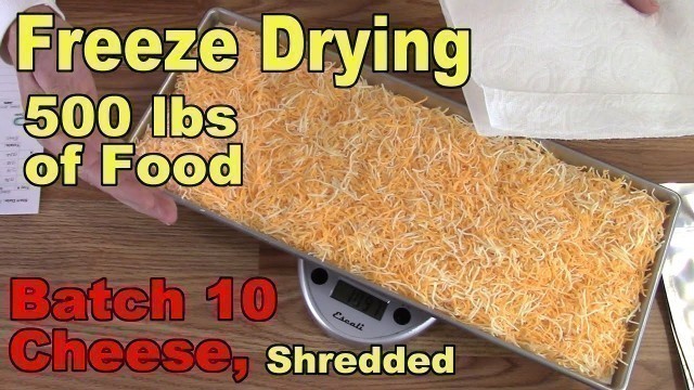 'Freeze Drying Your First 500 lbs of Food - Batch 10 - Cheese, Shredded'