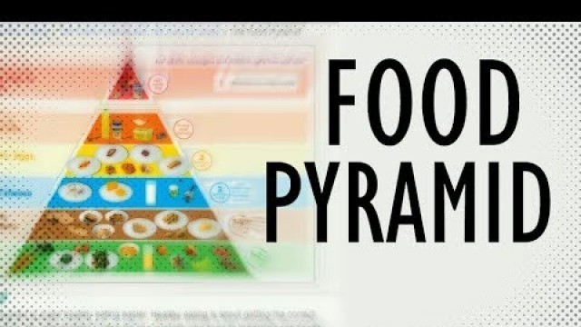 'What is the Food Pyramid? Food Pyramid explained in 2 Minutes!'