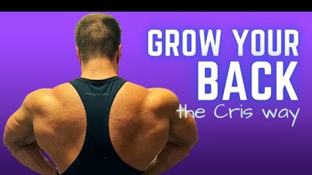 'Upper Back Pump Workout (I LOVE these 7 Exercises)'