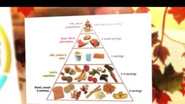 'Food pyramid and balanced diet'