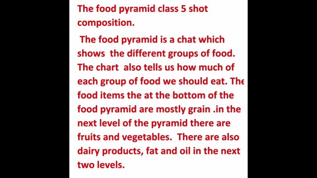 'The food pyramid  class 5'