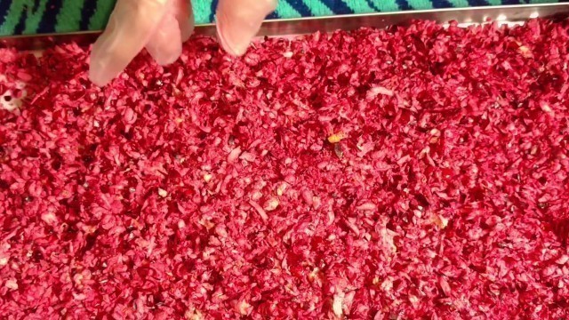 'Shredded Cranberries & Navel Oranges Freeze Dried in my Harvest Right Freeze Dryer to make sauce'