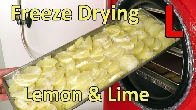 'Freeze Drying Lemon & Lime Slices'