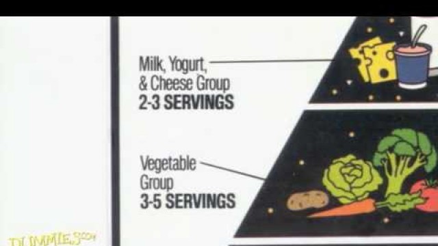 'Understanding the USDA Food Pyramid For Dummies'