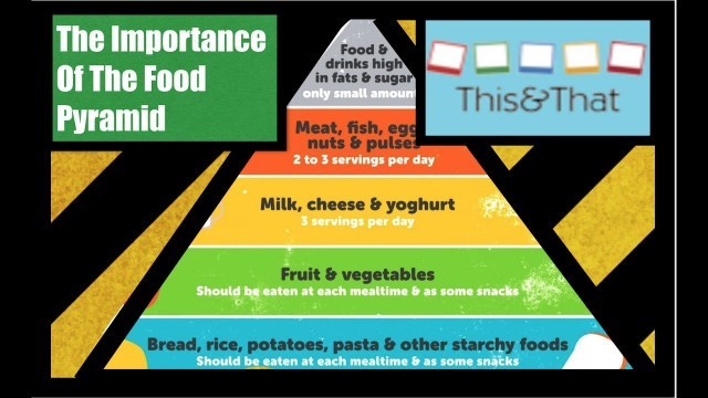 'Importance Of The Food Pyramid'