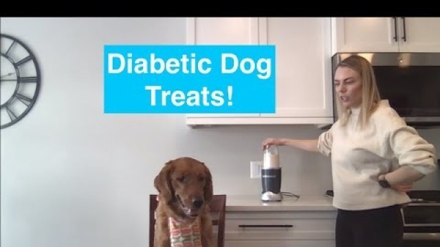 'Cooking With Kobe Episode 1: Diabetic Dog Cookies!'