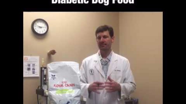 'Canine Diabetes - Diabetic Dog Food'