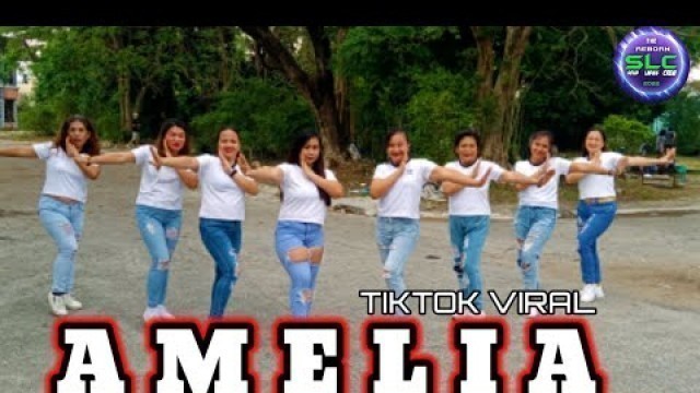 'AMELIA l TIKTOK VIRAL l DANCE FITNESS l SOLID LADIES CREW'