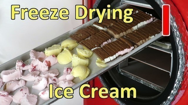 'Freeze Drying Ice Cream & Ice Cream Sandwiches'