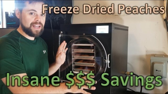 'I Saved $280 Freeze Drying Peaches'