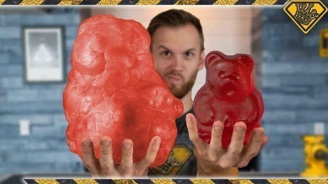 'How Big Does a Freeze Dried 1 lb. Gummy Bear Get?'