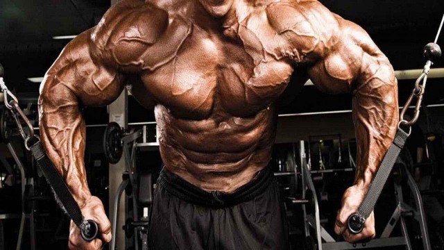 'Sine Mesg Proqrami Lion Fitness Monster Chest Pump Workout'