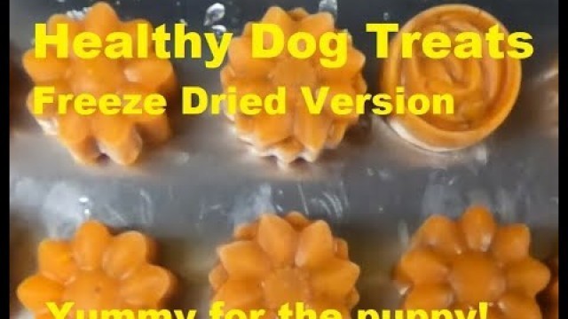 'Healthy Dog Treats - Freeze Dried'