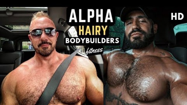 'Alpha Hairy Bodybuilders - Huge Hairy Men Fitness'