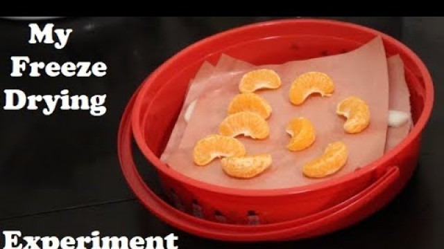 'My Freeze Drying Experiment'