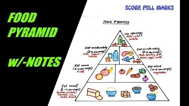 'How to draw and color FOOD PYRAMID / HEALTHY EATING / BALANCED DIET w/-NOTES / SCIENCE /Step by step'