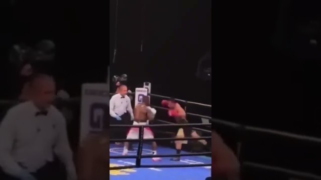 'One Punch Knockout 