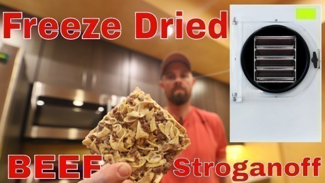 'Freeze Dried Beef Stroganoff -- Includes Freeze Drying Recipe'