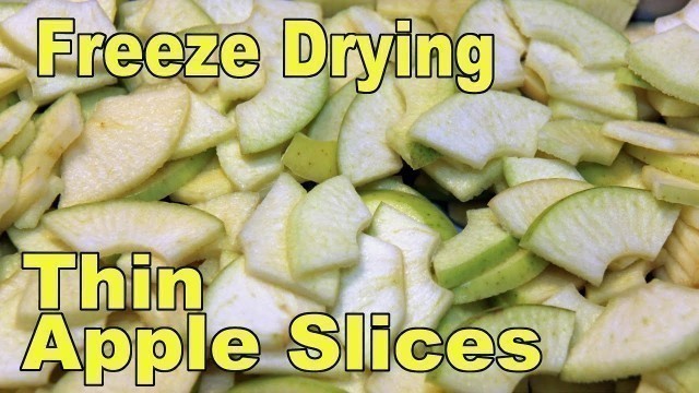 'Freeze Drying Thin Apple Slices'