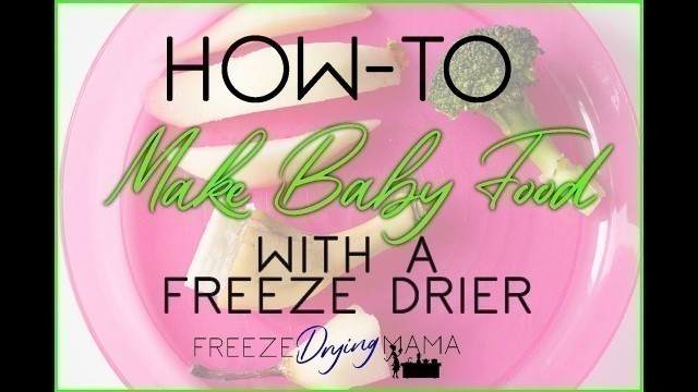 'How To Make Your Own Baby Food With Freeze Drying'