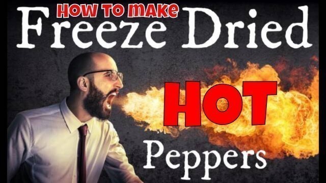 'Making Freeze Dried HOT Peppers! -- Carolina Reapers, Jalapenos & Anaheim'