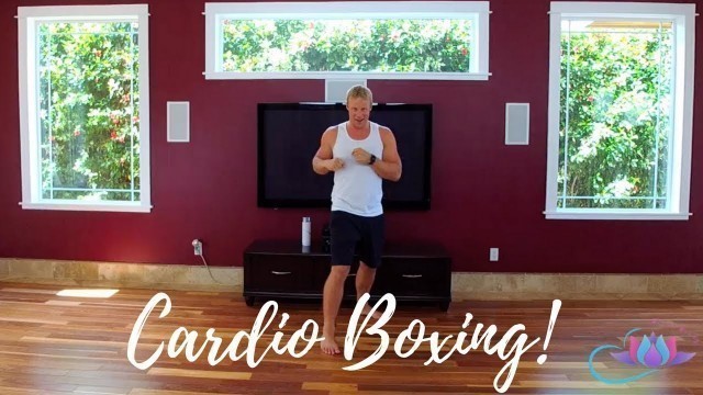 'The Best Workouts For Beginners - Cardio Boxing Workout For Beginners - Bloom Young'