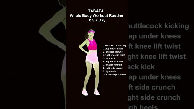 'TABATA Whole Body Workout Routine X 5 a Day'