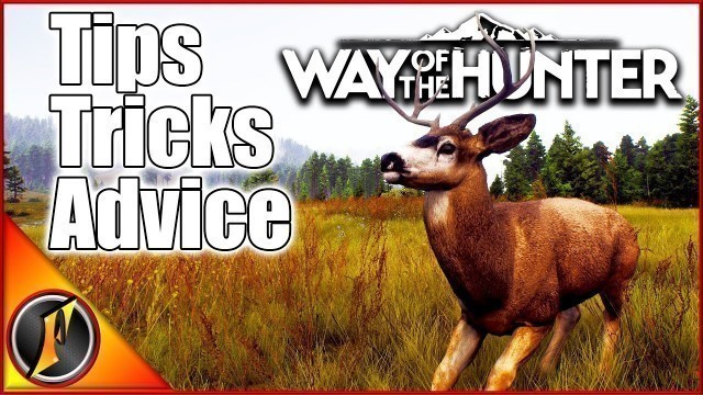 'Getting Started in Way of the Hunter GUIDE! Tips, Tricks, & Advice!'