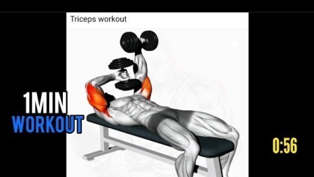 'Triceps Workout - 1 Minute Workout'