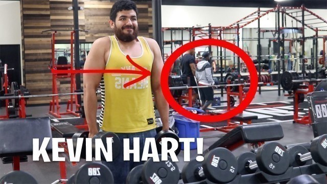 'ZOO CULTURE GYM | KEVIN HART CAMEO | BACK AND DEADLIFTS'