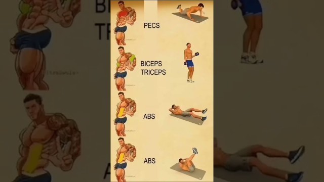 '#shorts bicep tricep chest and abs workout at home'