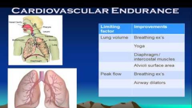 'Cardiovascular Endurance Webinar By Conan Fitness'