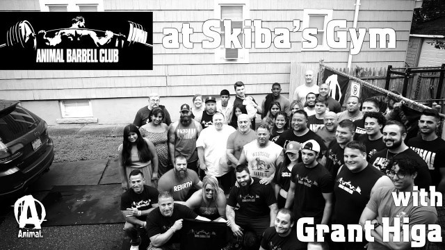 'Animal Barbell Club (ABC) at Skiba\'s Gym with Grant Higa'