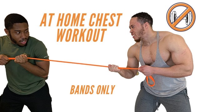 'At Home Chest Workout | Bands Only'