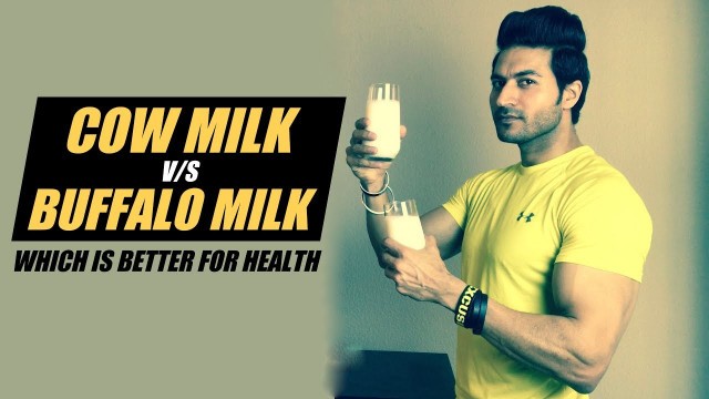 'COW Milk v/s BUFFALO Milk - Which is better for Health? Info by Guru Mann'