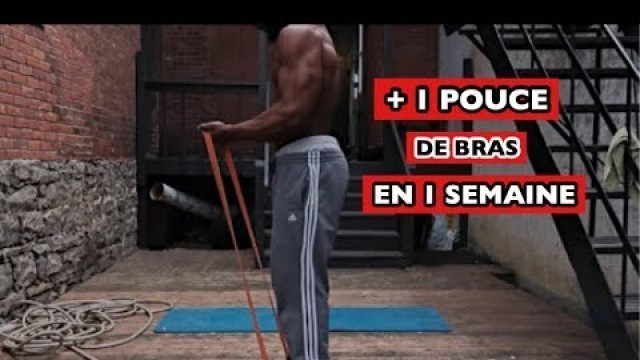 'LE MEILLEUR WORKOUT DE BICEPS AVEC UN ÉLASTIQUE !'