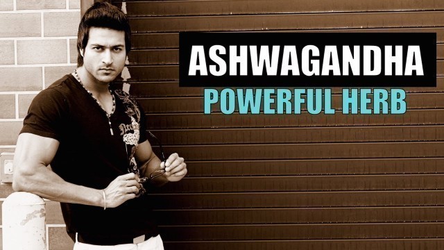 'ASHWAGANDHA (अश्वगंधा) Powerful Herb - Does it Boost Testosterone or Not? Info by Guru  Mann'