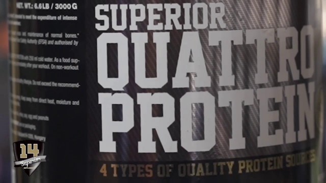 'SUPERIOR14 SUPPLEMENTS    VIP SUPPLEMENTS FITNESS STORE'