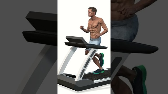 'Stunner Fitness STX-220 2.0 HP  Motorised Treadmill with MP3 & Training  Workout Smart Gadgets'