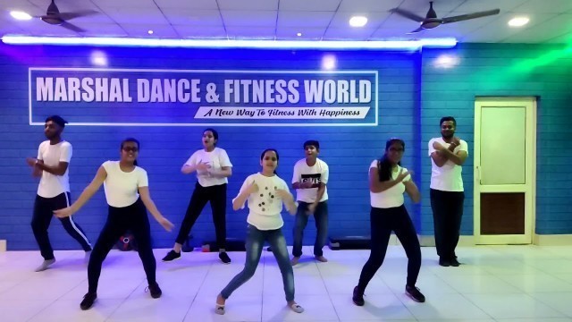 'vibe Bhangea video | Girls boys bhangra video | Marshal Dance & Fitness world'