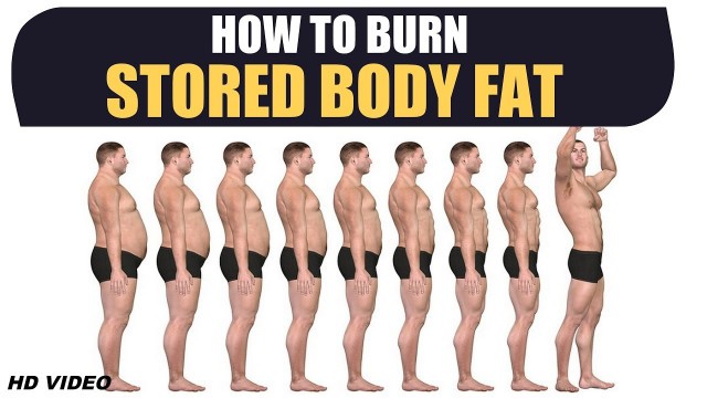 'How to Burn STORED BODY FAT - Deep Information by Guru Mann'